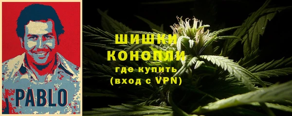 2c-b Горно-Алтайск